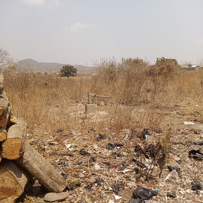 Abandoned Bush Pump