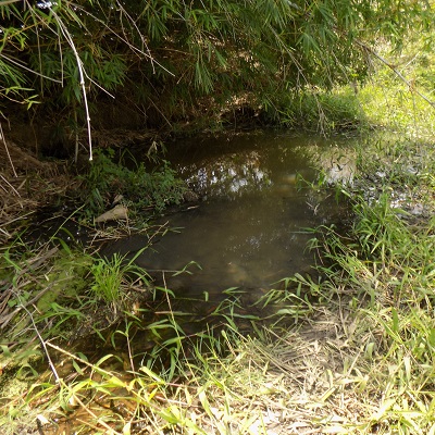 Alternate water source