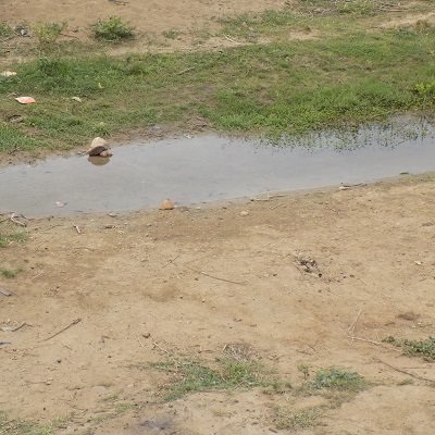 Alternate water source