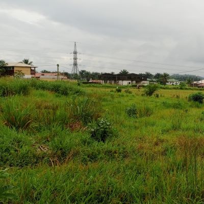 This is Cooper Farm  village 