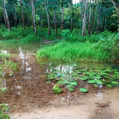 Goll town's old water source