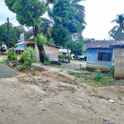 This is Duport Cow Field Community