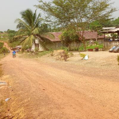 World Bank Q1 area photo