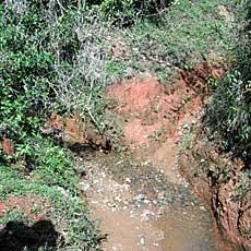 Old Water Source