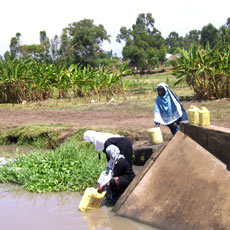 Old Drinking Water Source