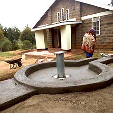 Planting New Handpump