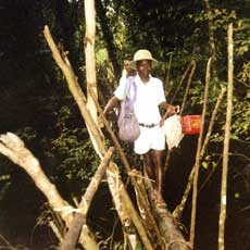 Villager crossing a bridge
