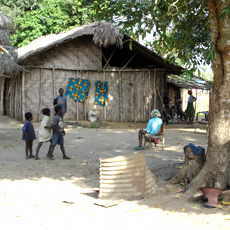 Village Overview