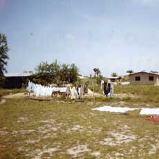 Village Overview