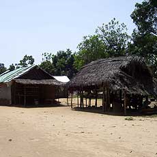 Village Overview