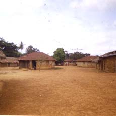 Village Overview