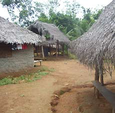 Village Huts