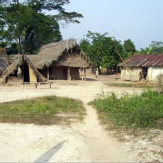 Village homes
