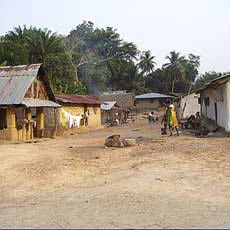 Village homes