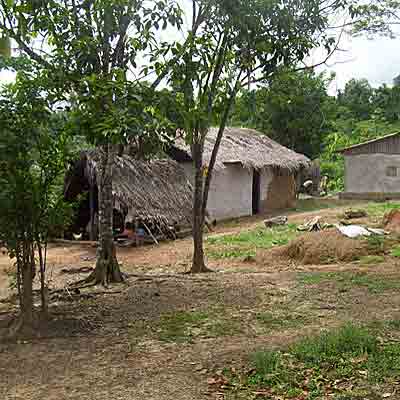 Local Village Homes