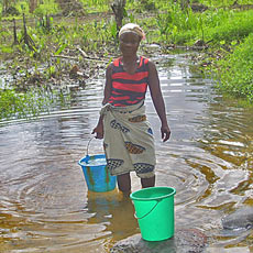 Old Contaminated Water Hole