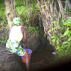 Drawing from Water Hole