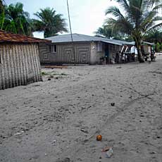 Village Overview