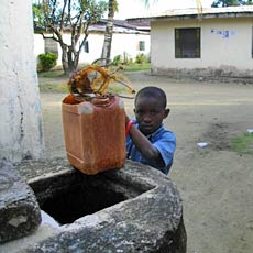 Old Water Source