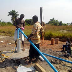 Planting New Handpump