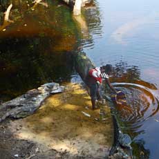 Old Drinking Water Source