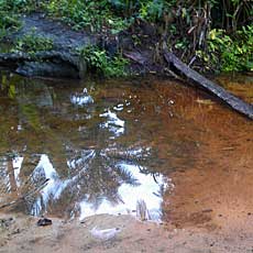 Old Contaminated River source