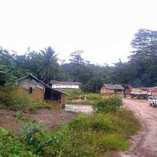 Village Overview