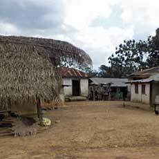 Village Overview-