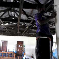 Removing all Infested Wood
