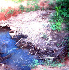 Contaminated water Source