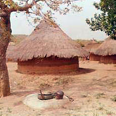 Village Overview