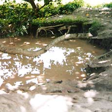 Old Contaminated Water Source