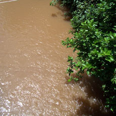Old Dirty Drinking Water Source