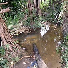 Contaminated Old Water Source