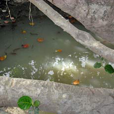 Old swampy water source