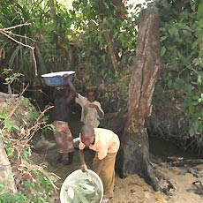 Contaminated Old Water Source