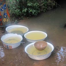 Old Contaminated Water Hole