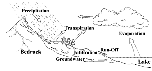 Hydrological Cycle