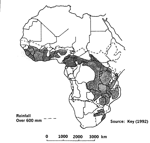 Weathered Zone Aquifers